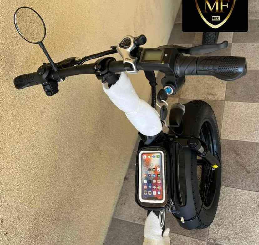 Bici elettrica Fat bike